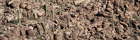 Saguar Boulders Big