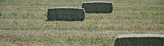 Hay Bales