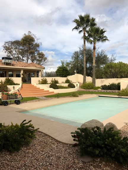 Poolside in Wickenburg