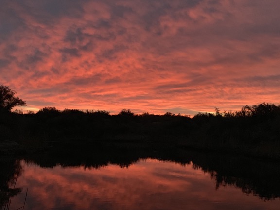 Arizona Sunrise