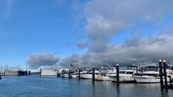 Bellingham Harbor