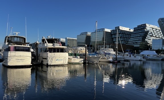 Morning at the Wharf